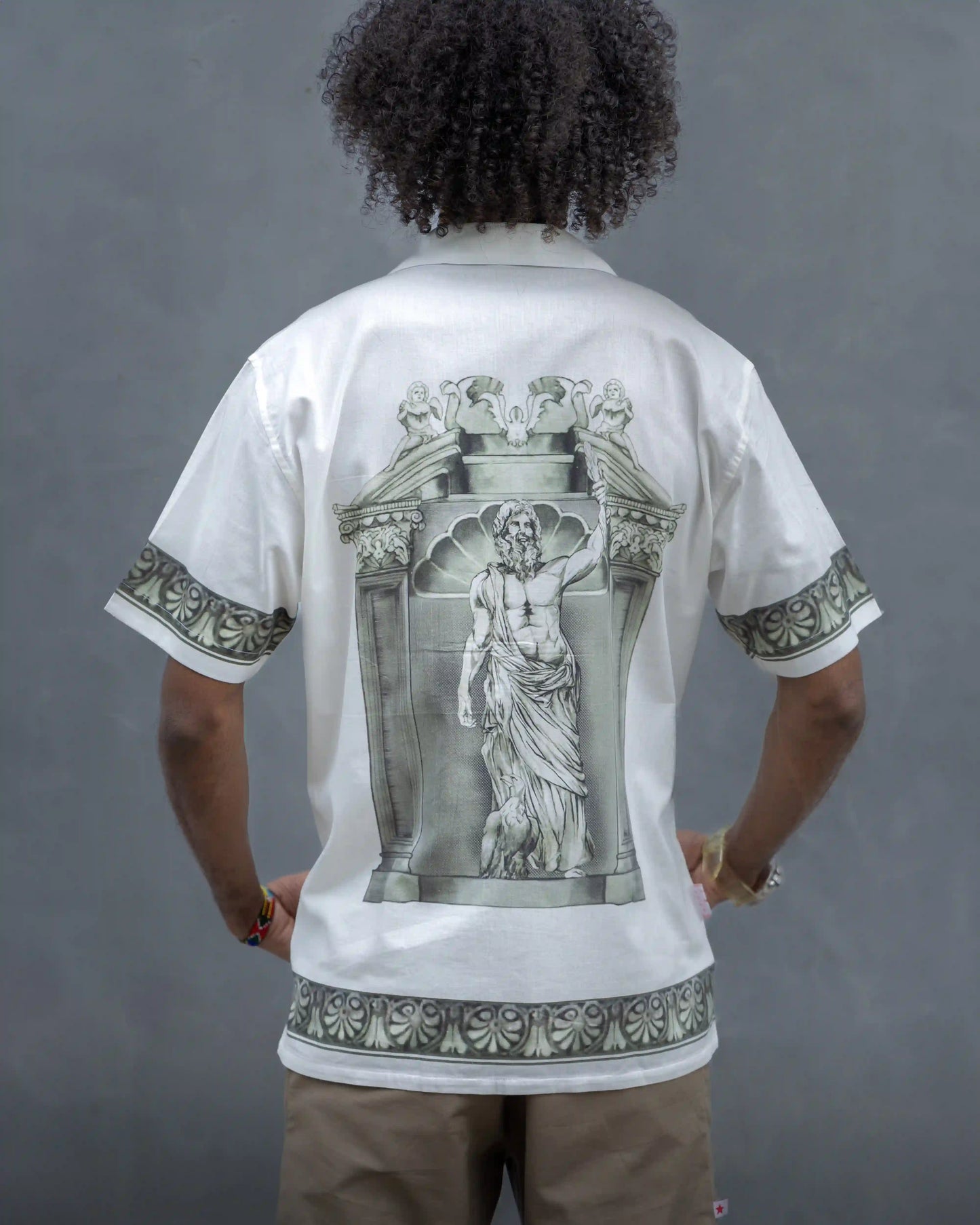 Backshot of NAD's Zeus print shirt for men.